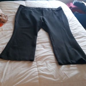 Torrid studio signature ponte stretch trouser